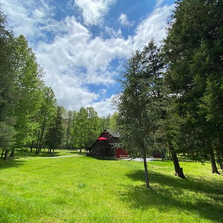 Shadow Mountain Escape Cabin Rentals Luray Exterior foto